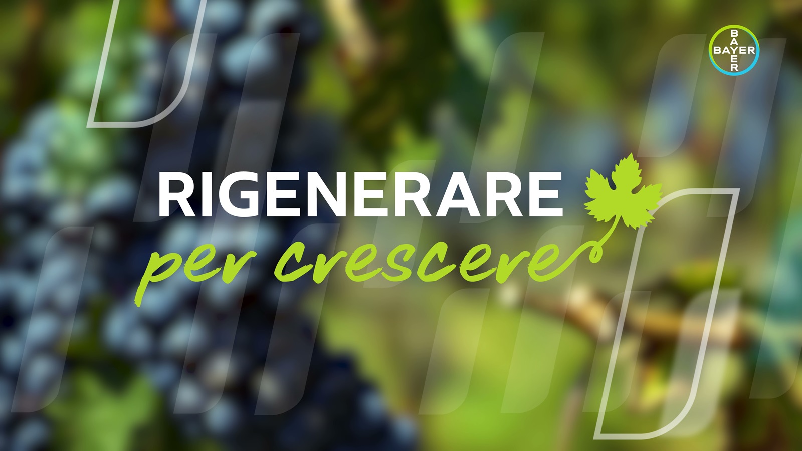 Logo rigenerare per crescere