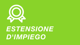 Estensione definitiva per Flipper