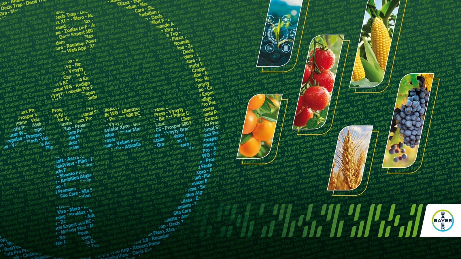 Catalogo Bayer
