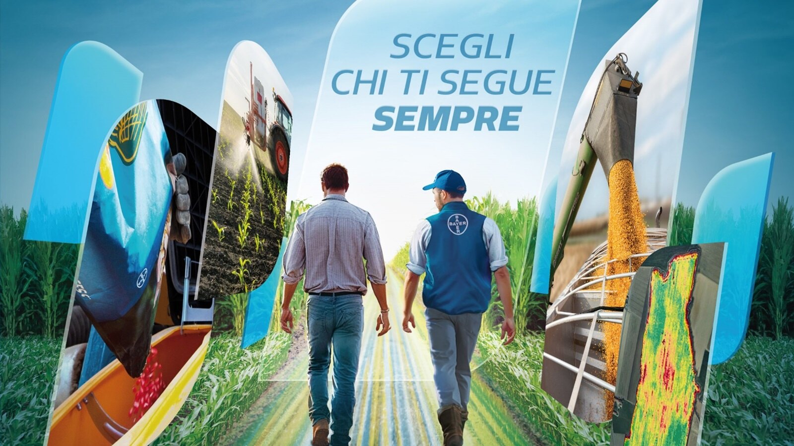 catalogo dekalb 2025