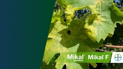 primo articolo antiperonosporici