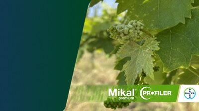 secondo articolo antiperonosporici