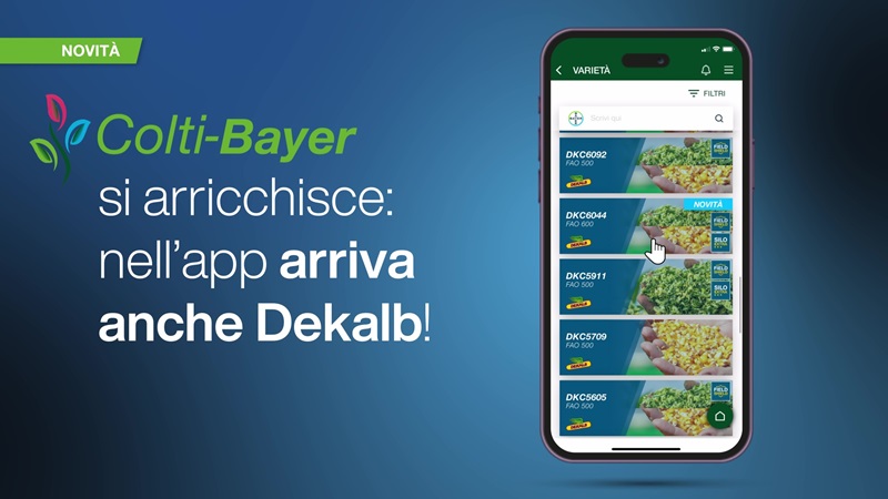 APP Colti-Bayer