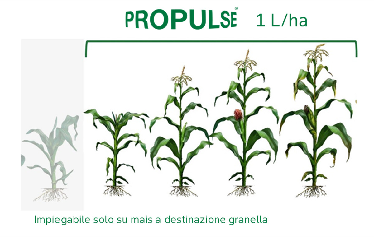 propulse