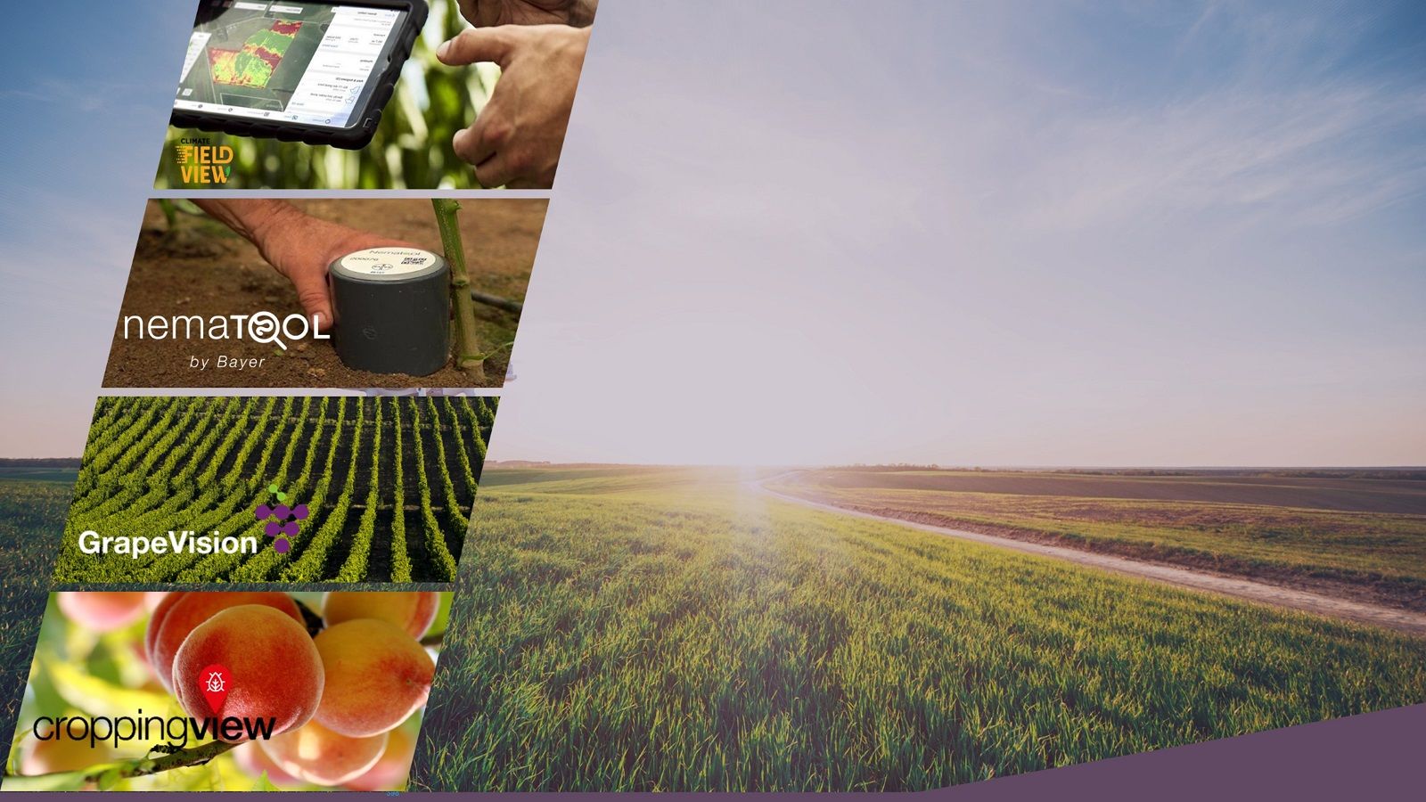 Tecnologie digitali per agricoltura