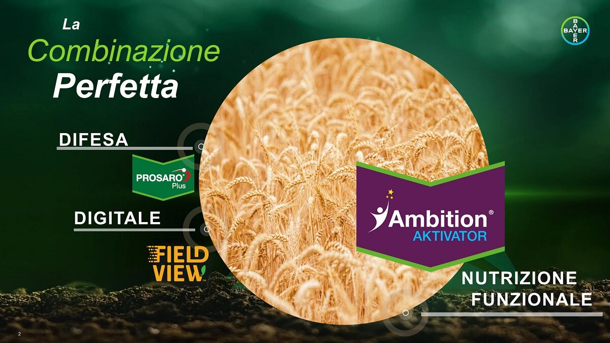 Ambition nutrizione