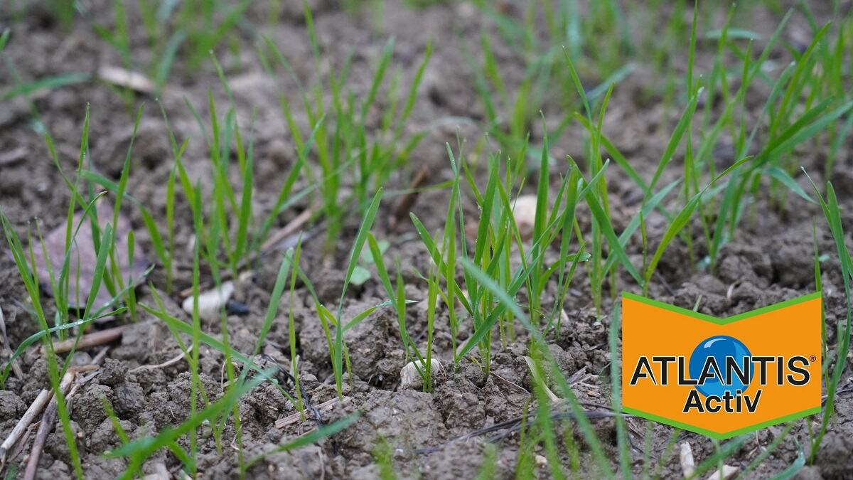 Altantis Activ diserbo