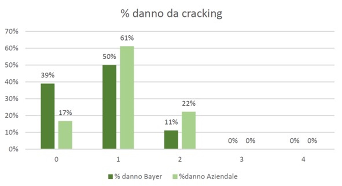 danno da cracking