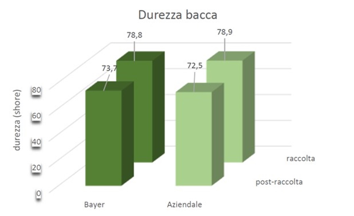 durezza bacca