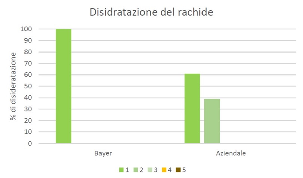 disidratazione del rachide