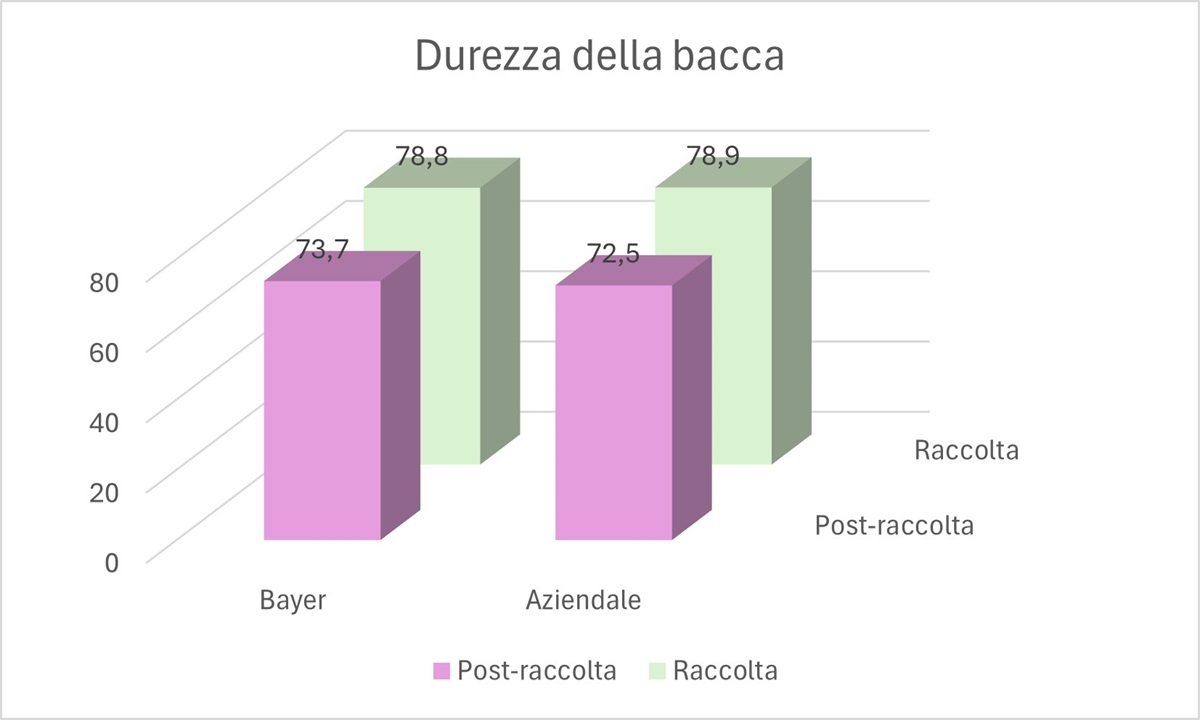 grafico 2 shelf life