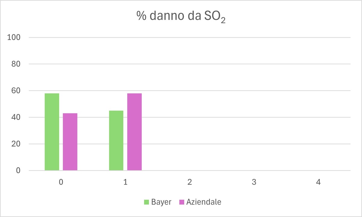 grafico 3 shelf life