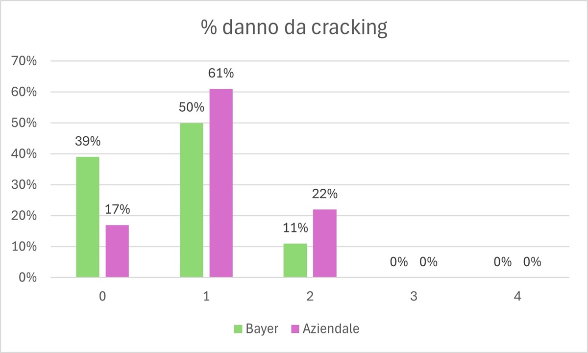 grafico 4 shelf life