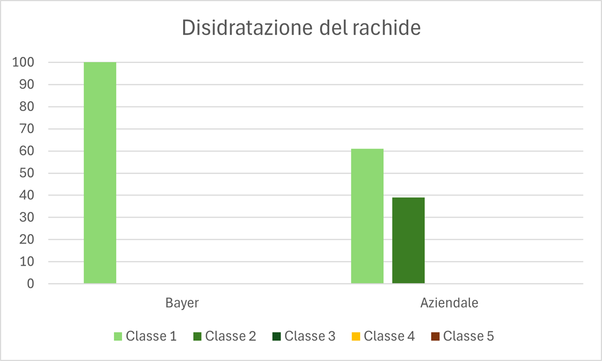 grafico 1 shelf life