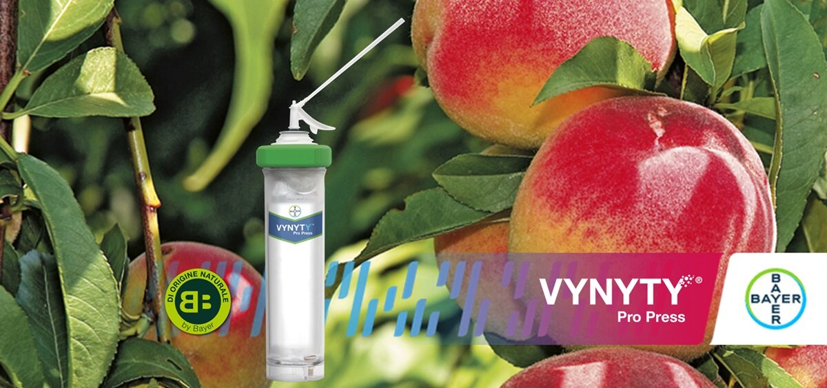 Insetticida pesco Vynyty