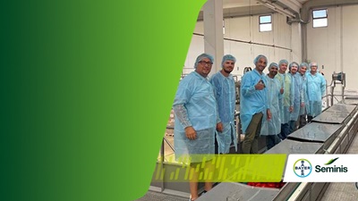 Lavorazione pomodoro