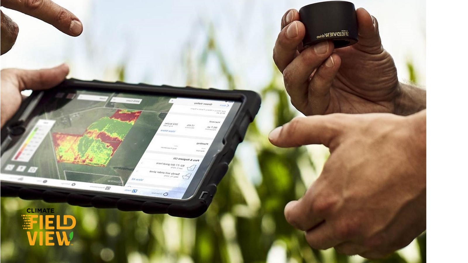 FieldView