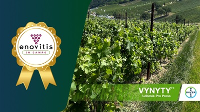Ad Enovitis in campo 2025, Vynyty Lobesia Pro Press vince il premio all’innovazione 