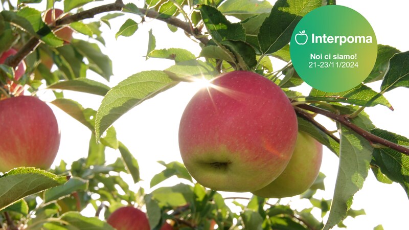Fiera Interpoma