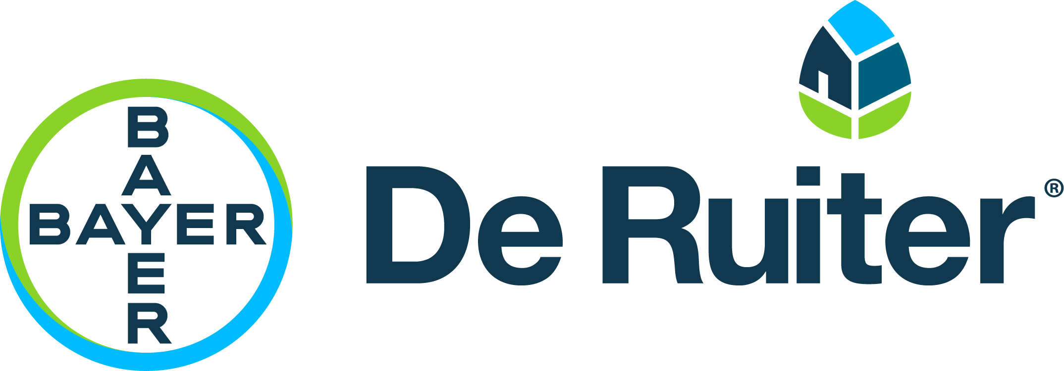 logo De Ruiter
