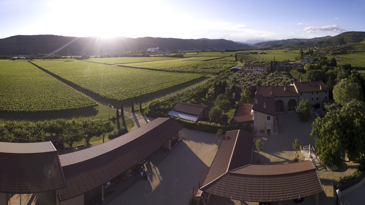 immagine azienda panoramica