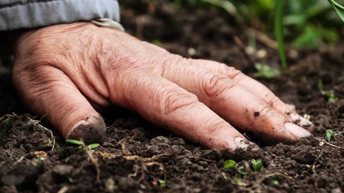 reducing crop loss - soil