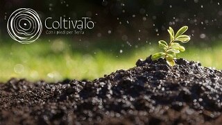 ColtivaTo: il Festival Internazionale dell'Agricoltura a Torino