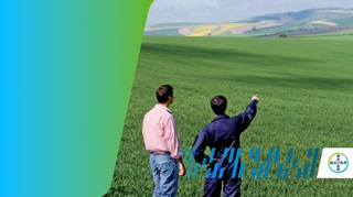 Linee grano 2027