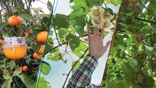 Campagna 2023: da Bayer 3 nuove Linee di Difesa!