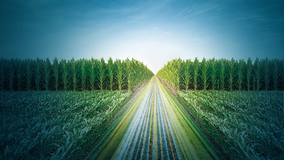 Mais Dekalb Key Visual