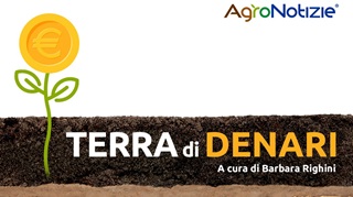 Podcast terra di denari