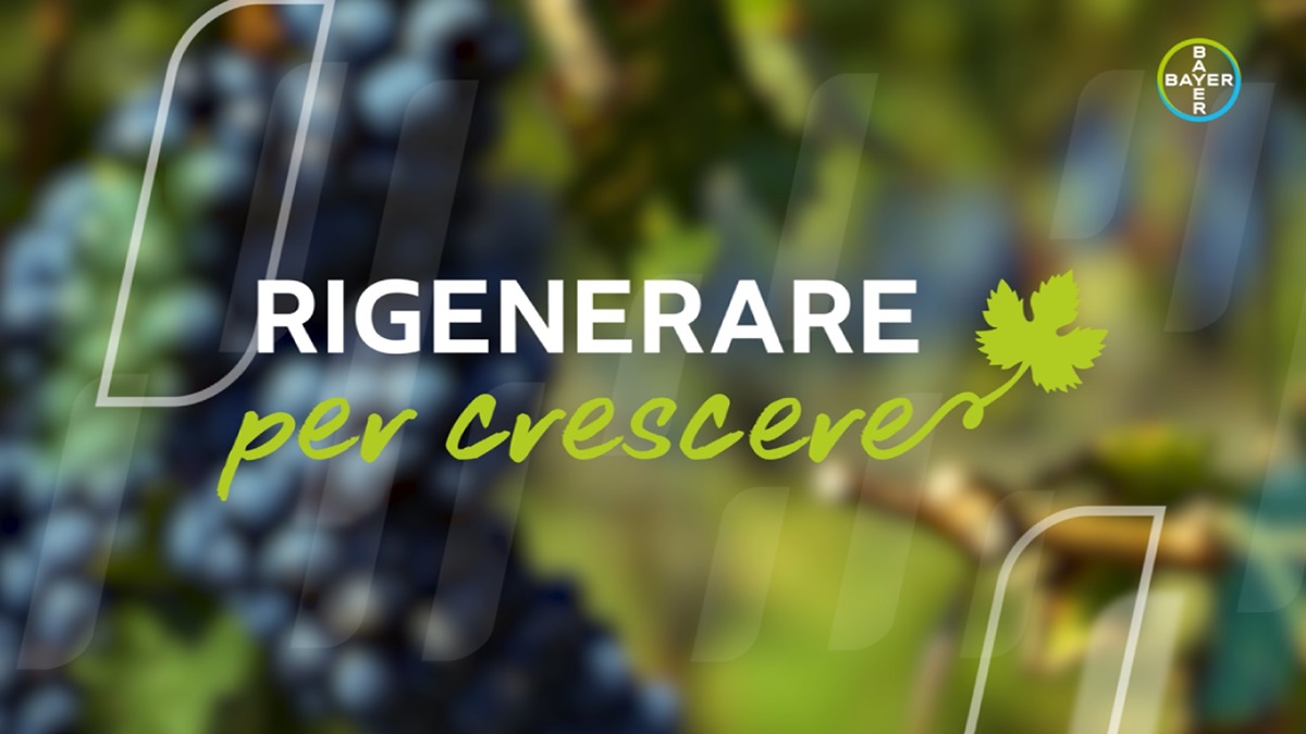 Rigenerare per crescere