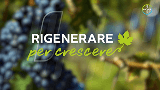 rigenerare per crescere