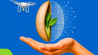 Scienza in campo