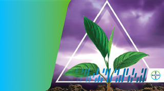 copertina news ambition aktivator