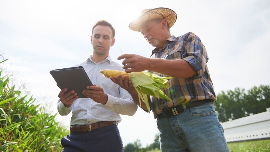 immagine innovazione