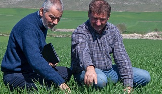 Immagine evento grano