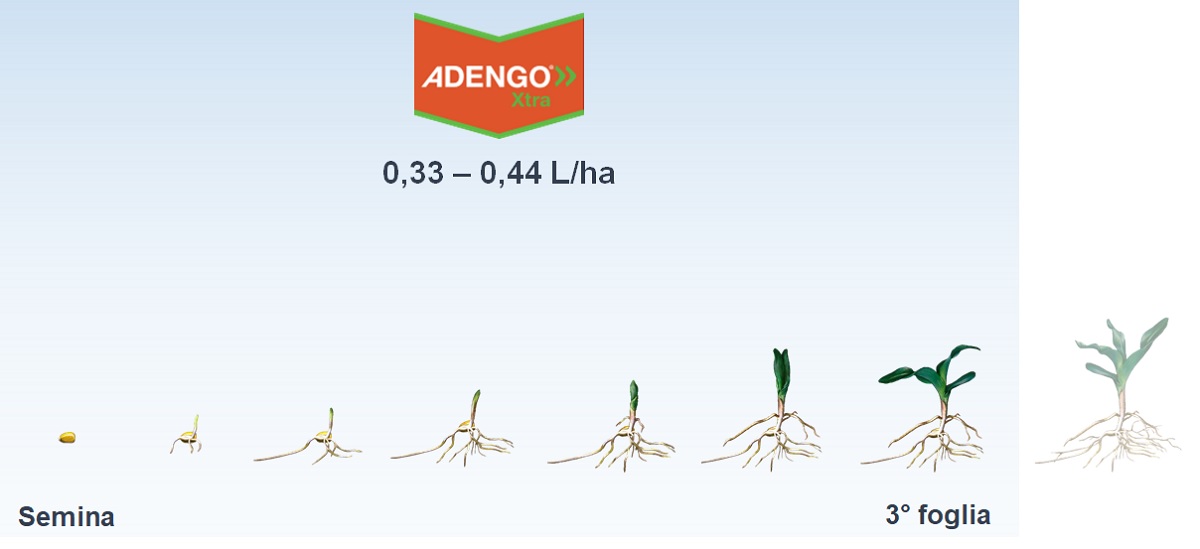 Adengo Xtra impiego