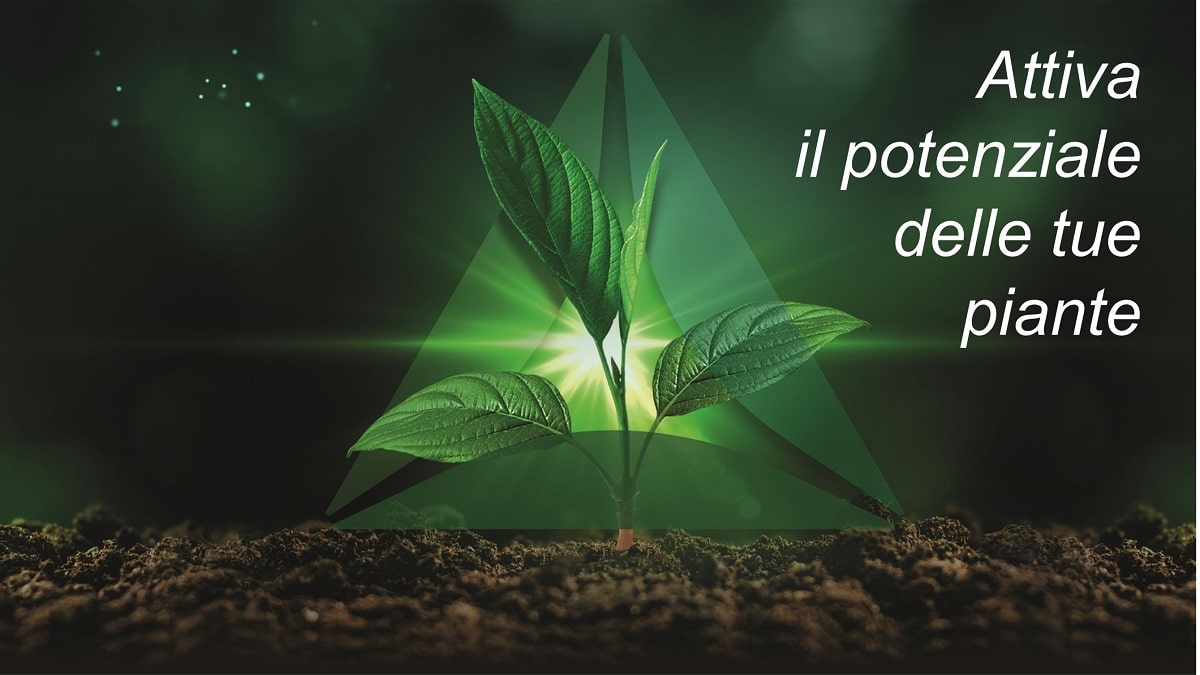 Ambition Aktivator articolo