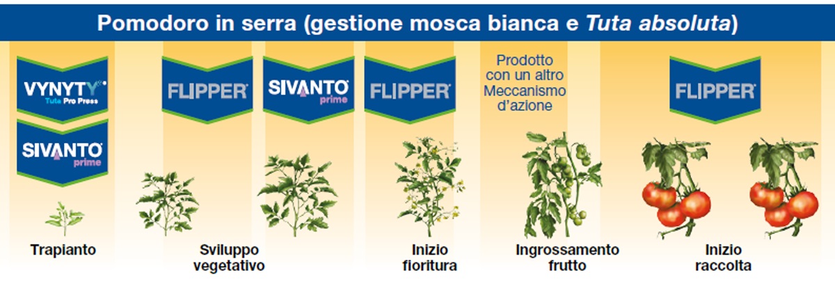 Insetticida biologico per difesa delle colture orticole da acari