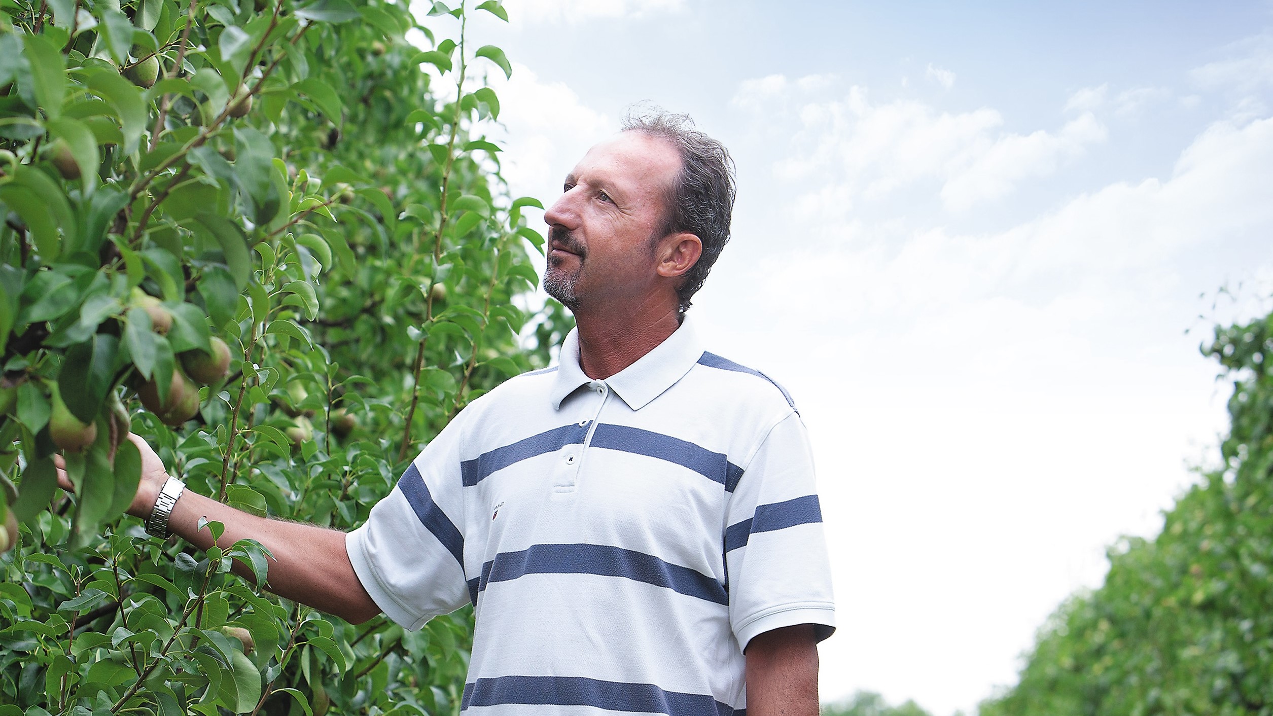 immagine hero Luna Care