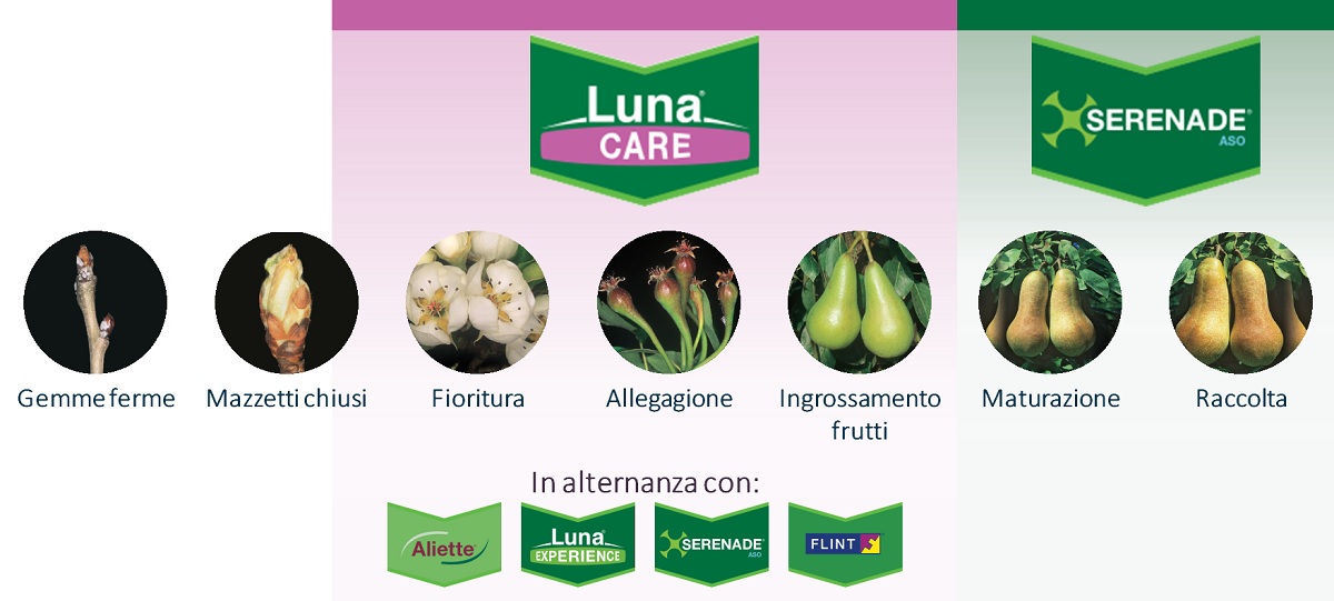 strategia di difesa immagine di spiegazione