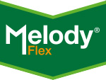 Melody Flex