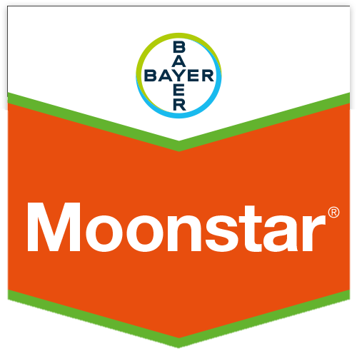 Moonstar