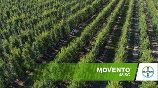 movento 48 sc