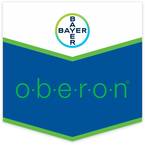 Oberon Scudo