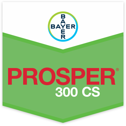 Prosper 300 CS Scudo
