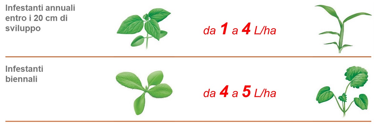 Roundup Power 2.0 impieghi