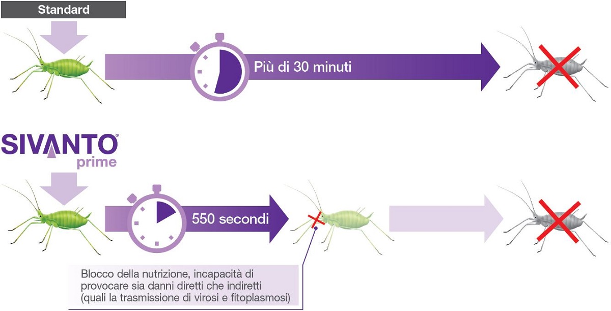 Sivanto Prime vantaggi