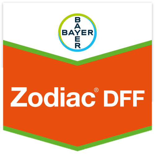 Zodiac Dicuran DFF Scudo